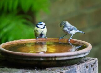 Dlaczego mówi się na jednej nodze?