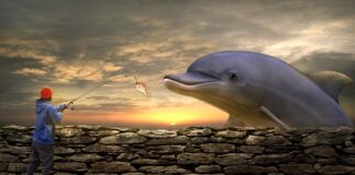 Gdzie kupię Żyłkę jubilerska?