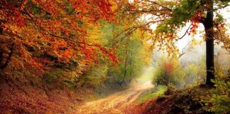 Jaki będzie rok 2023 dla Polski?