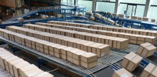 Automatyka magazynowa w środowiskach chłodniczych – wyzwania dla projektantów i dostawców automatyka magazynowa